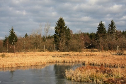 Hohe Venn Eifel