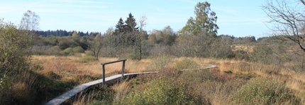 Wandelpaden in het Hohe Venn
