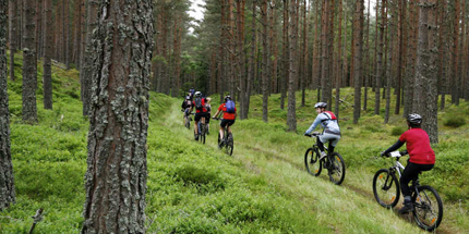 Mountainbiken in de Eifel