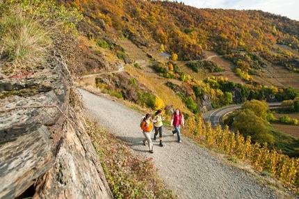 Rotweinwanderweg